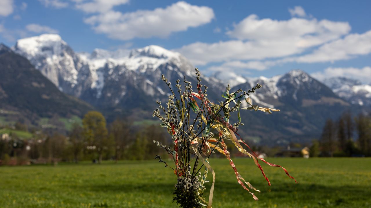 Palmbuschen Palmbuschen